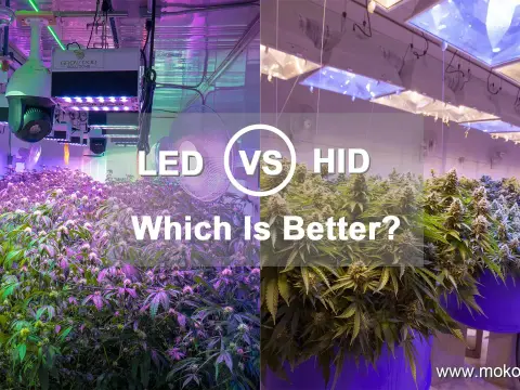 Iluminación HID - ¿Aún vale la pena o es mejor LED?