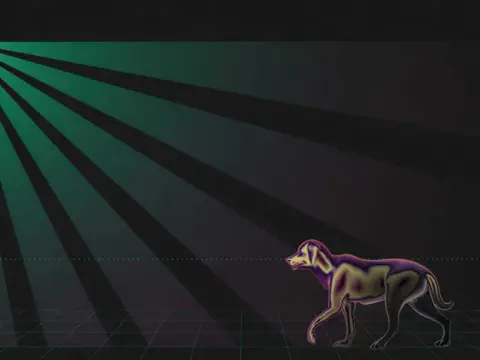 Alarma para mascotas - ¿Funciona? Guía para elegir la mejor
